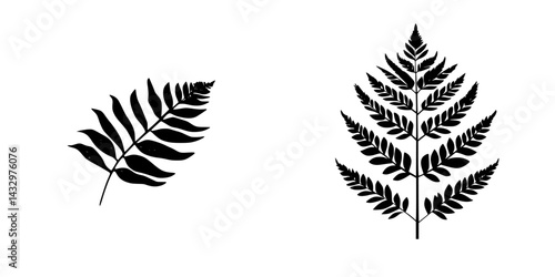 Two black fern leaf icons displayed on a white background showcasing intricate patterns and natural design