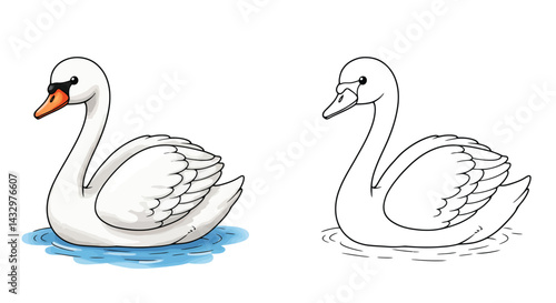 Graceful Swan Duo: a pair of graceful swan sketches, one fully colored and one in outline, elegantly floats on water, showcasing the beauty of avian design.