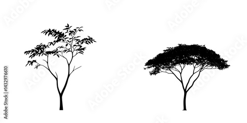 Silhouettes of two distinct tree types, showcasing unique leaf patterns and branch structures against a minimalist background
