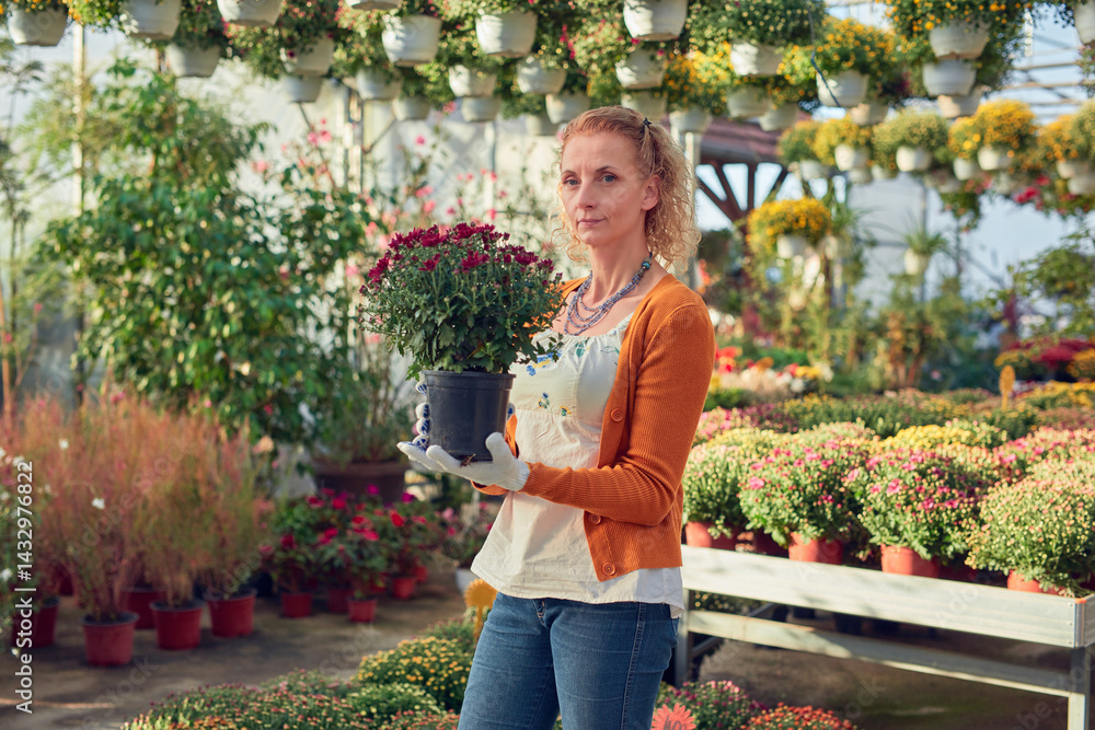 Woman working in a flower nursery greenhouse, taking care of plants and preparing it for selling.