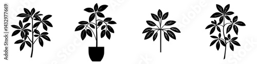Collection of black icons depicting various potted plants and foliage arrangements for design and decoration purposes
