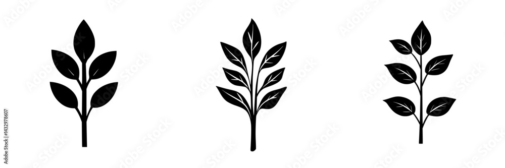 Stylized black icons representing plant leaves arranged in three variations suitable for graphic design projects Stylized black icons representing plant leaves arranged in three variations suitable for graphic design projects