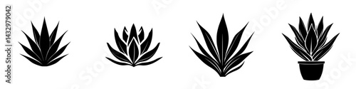 Unique black icon designs of various succulent plants showcasing their distinct shapes and details in a minimalistic style