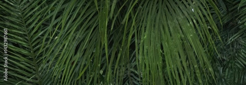 Intricate veins, vibrant green palm frond texture ,  tropical,  close-up
