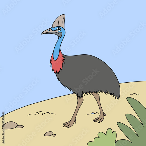 Vector illustration of a cassowary bird with vivid blue and red neck, standing in a natural habitat. Perfect for wildlife, educational, or tropical-themed design use.