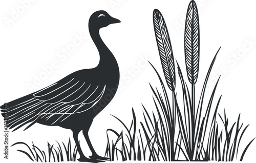 Black silhouette of a goose standing near tall grass and reeds in a wetland environment