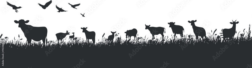 Black silhouette of cows grazing in a grassy field with birds flying overhead on a clear white background Black silhouette of cows grazing in a grassy field with birds flying overhead on a clear white background