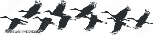 Silhouettes of birds flying in formation representing migration and freedom in nature