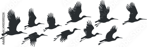 Silhouette illustration of a flying crane bird in various wing positions showing graceful flight