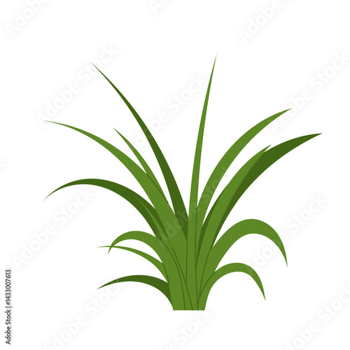 Green algae or grass. Underwater flora, plant. Flat illustration aquarium, oceanic, riverine or lakeine seaweed on white background.