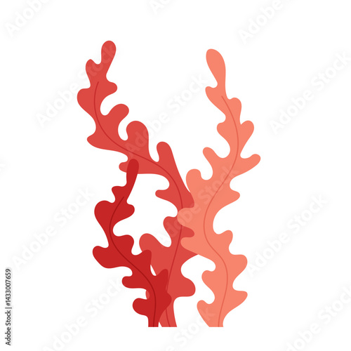 Brown algae. Underwater flora, plant. Flat illustration aquarium, oceanic or riverine seaweed on white background.