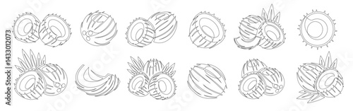 Coconut continuous one line drawing icon set. Editable stroke. Outline coconut fruit collections isolated on a white background. Vector illustration