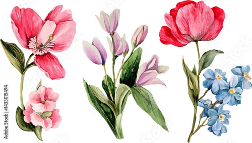 bouquet of flowers