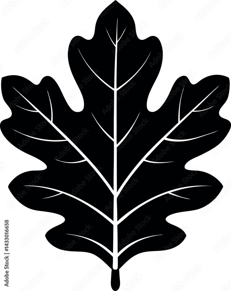 Obraz premium Oak Leaf Silhouette Vector – Simple Black Nature Element
