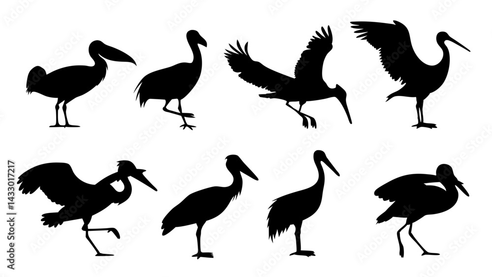 Obraz premium set of water birds silhouette vector on tranparent background