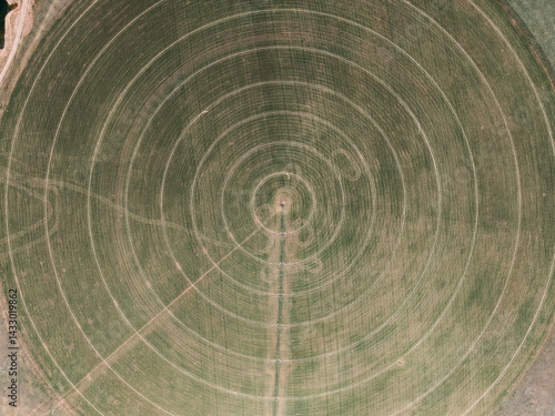 Aerial view of circular crops with irrigation circles visible. Bridger, Montana