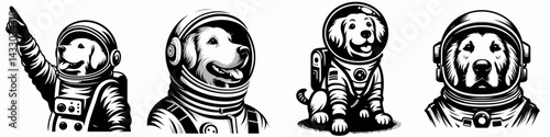 Golden Retriever Dog in astronaut costume. Animal Space suit universe galaxy cartoon character clipart. Canine suit breed pet during cosmic fancy dress event.
