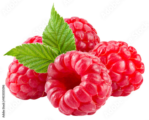 Raspberry isolated png. Raspberries with leaves on transparent background. Whole four raspberries no background. Transparent png. Full depth of field.