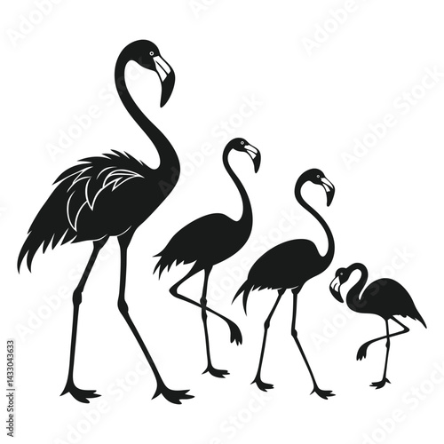 Vector Illustration of Flamingo Silhouette Set Featuring Graceful and Elegant Birds in Various Poses for Wildlife, Nature, and Decorative Art Projects