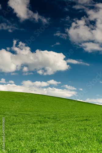 Obraz na płótnie Green grass on hill and blue sky w salonie