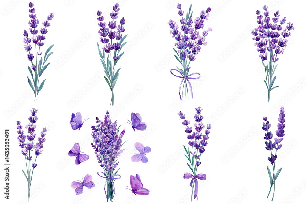 Fototapeta premium Watercolor lavender bouquet with flying purple butterflies isolated on white for floral design and decor, purple clipart