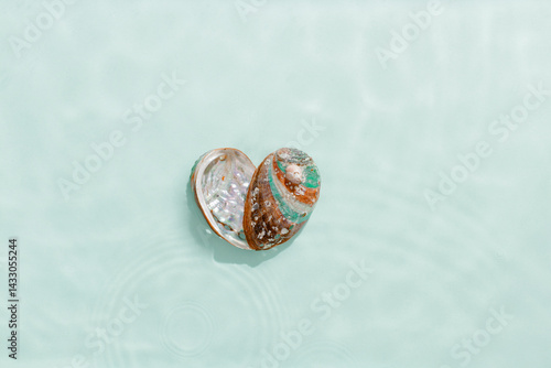 Minimal aesthetic still life, heart shape pearlescent seashells at sunlight, waves seawater, natural beauty organic forms. Shell as symbol of love, travel, tourism visual, vacation rest concepts