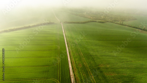 Obraz na płótnie Aerial drone view of agriculture landscape in Moravia w salonie