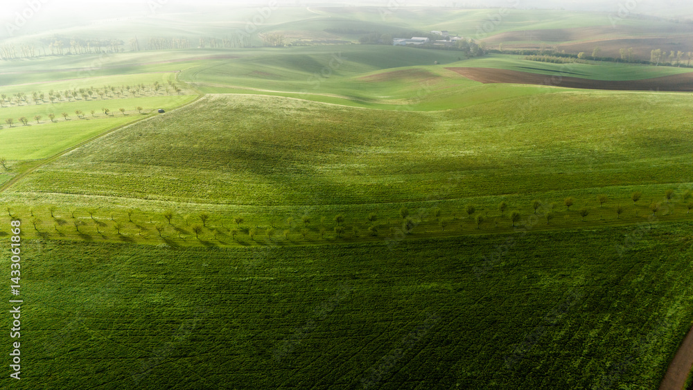 aerial drone view of rolling hills in moravia, czech republic