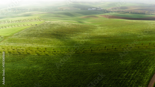 Obraz na płótnie aerial drone view of rolling hills in moravia, czech republic w salonie