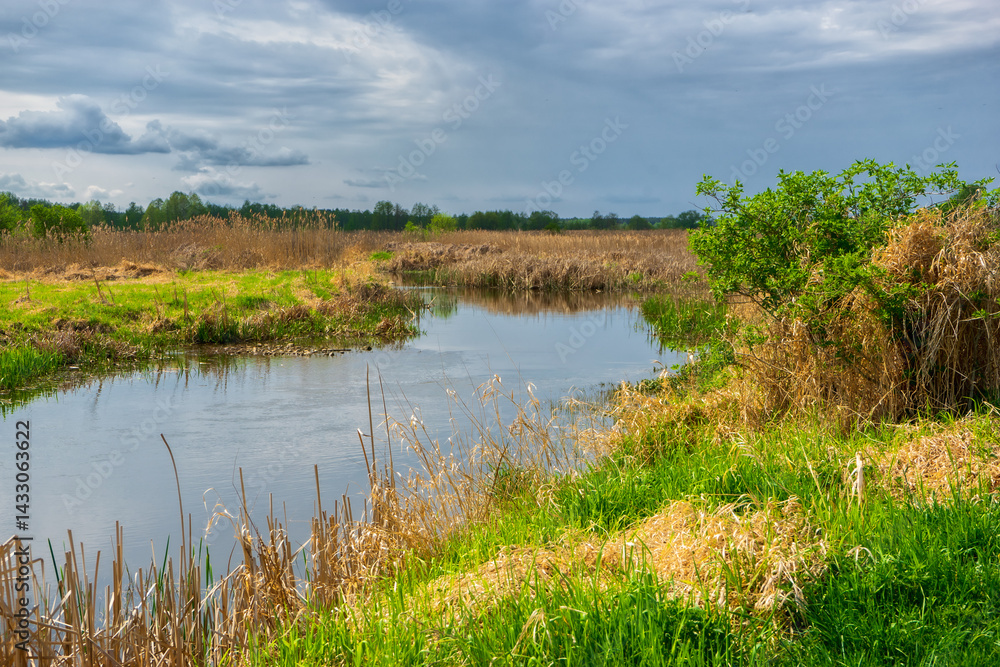 Wiosenna zieleń w Narwiańskim Parku Narodowym, Podlasie, Polska