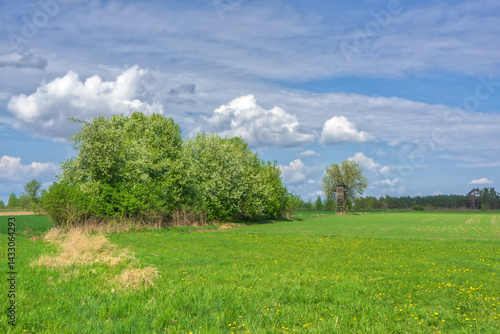 Obraz na płótnie Wiosenna zieleń w Narwiańskim Parku Narodowym, Podlasie, Polska w salonie