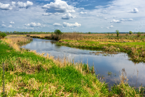 Wiosenna zieleń w Narwiańskim Parku Narodowym, Podlasie, Polska
