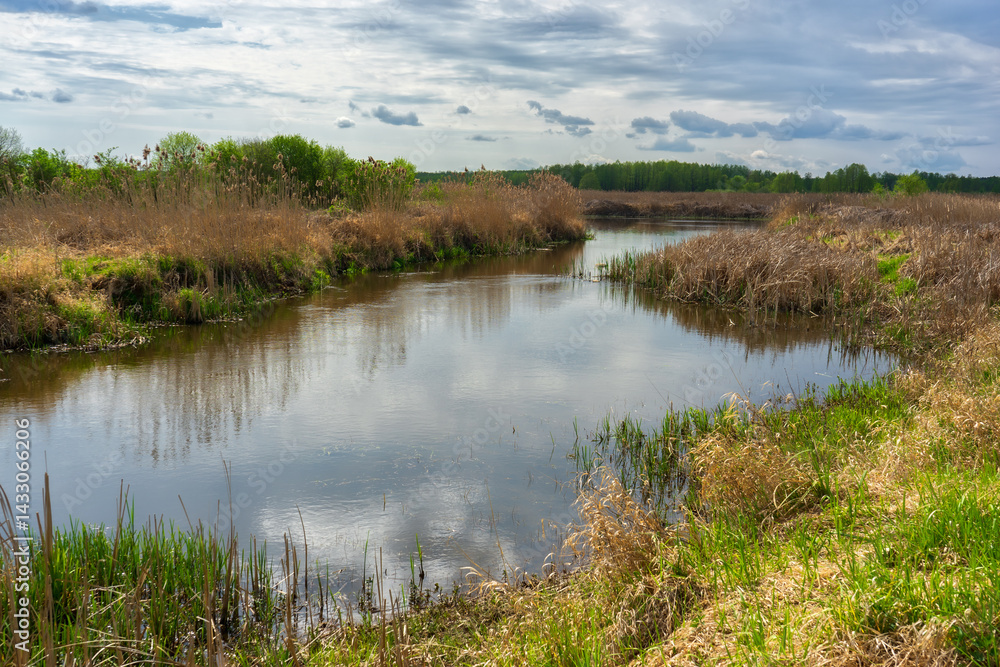 Wiosenna zieleń w Narwiańskim Parku Narodowym, Podlasie, Polska