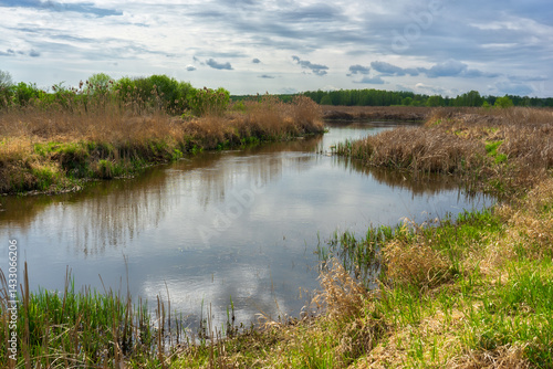 Wiosenna zieleń w Narwiańskim Parku Narodowym, Podlasie, Polska