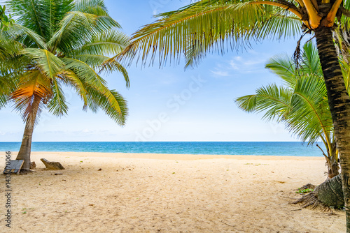 Fototapeta Naklejka Na Ścianę i Meble -  Beautiful beach background, Natural landscape with coconut palm trees on the beach at Phuket Thailand,Beach and sea in sunny day, Beach sea space area nature background