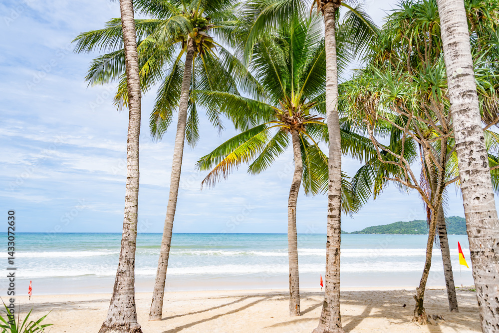 Obraz premium Beautiful beach background, Natural landscape with coconut palm trees on the beach at Phuket Thailand,Beach and sea in sunny day, Beach sea space area nature background