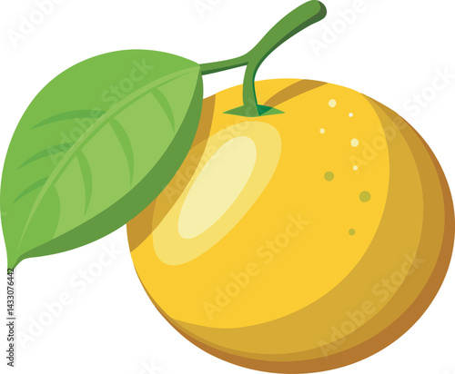 A vibrant vector art illustration of the delicious yuzu fruit, showcasing its fresh, citrusy appeal with bright, detailed design elements.