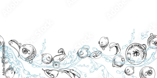 Cranberry lingonberry flying in water splash with green leaves and dew drops, vector hand drawn in ink, ripe summer forest berry. Isolated seamless banner for home preserves, stationery, recipe book
