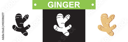 Ginger icon.  Vector for websites, mobile interfaces, presentations, banner, visual branding etc. Vector illustration. isolated on white and black background. EPS 10