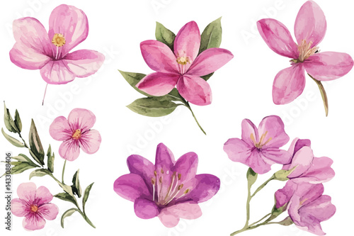 pink and white flowers