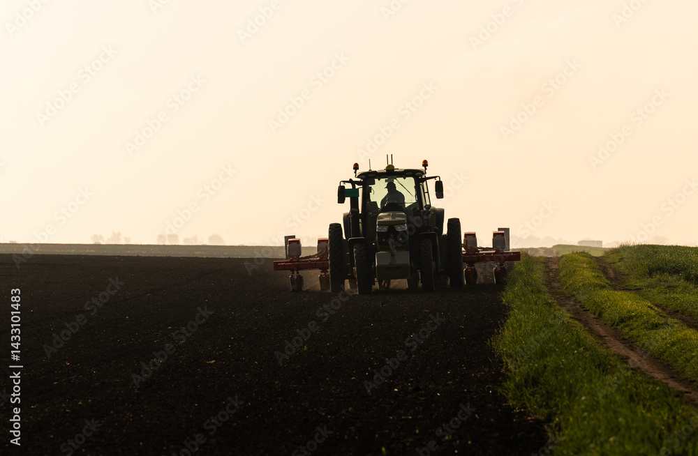 Fototapeta premium Farmer with tractor seeding in sunset