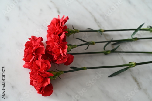 Oeillet rouge Cravos Liberdade Portugal