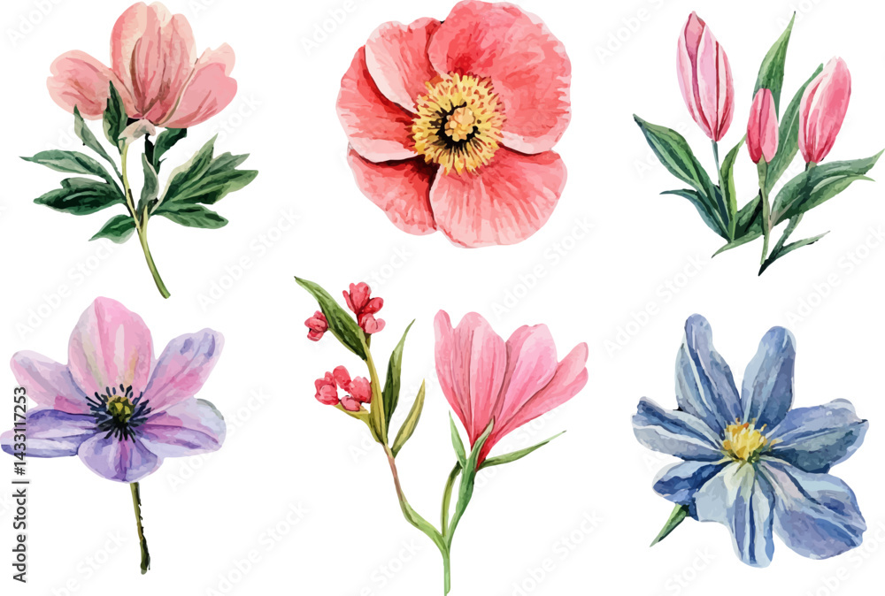 Obraz premium set of flowers isolated on white
