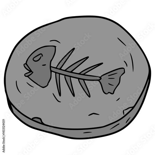 fossil illustration hand drawn isolated vector