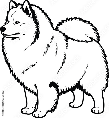 American Eskimo Dog silhouette Illustration Vector ArtWork side face