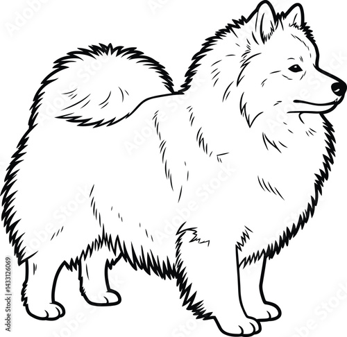  American Eskimo Dog silhouette Illustration Vector ArtWork side view Stand