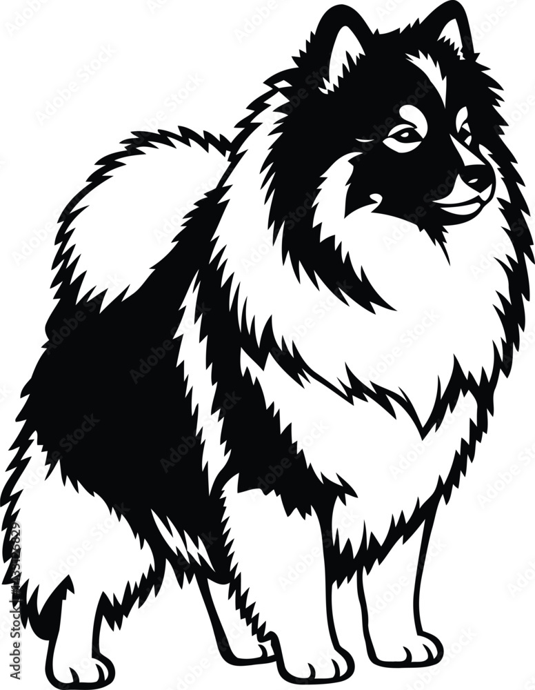 Obraz premium American Eskimo Dog silhouette Illustration Vector ArtWork stand position