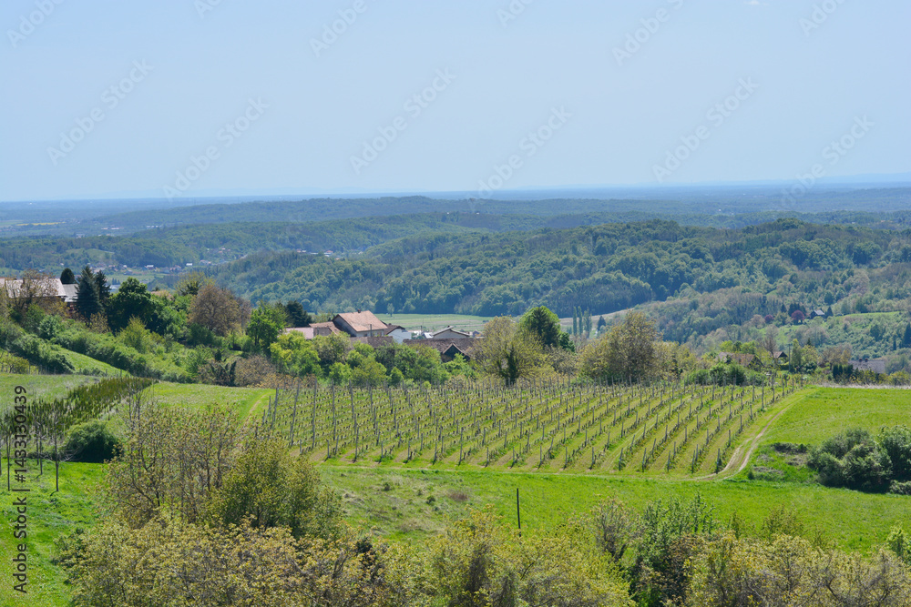 A picturesque view from Gornje Psarjevo in Croatia extends eastward over lush green fields and scattered houses under a clear sky