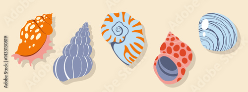 Sea shells, mollusks, sea ​​snails. Modern flat illustration of isolated seashells
