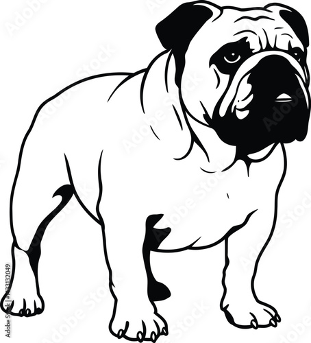 Bulldog silhouette Illustration Vector ArtWork white Font view